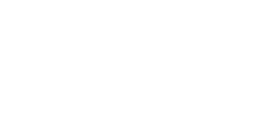 Chartis Pymnt Fraud 2024